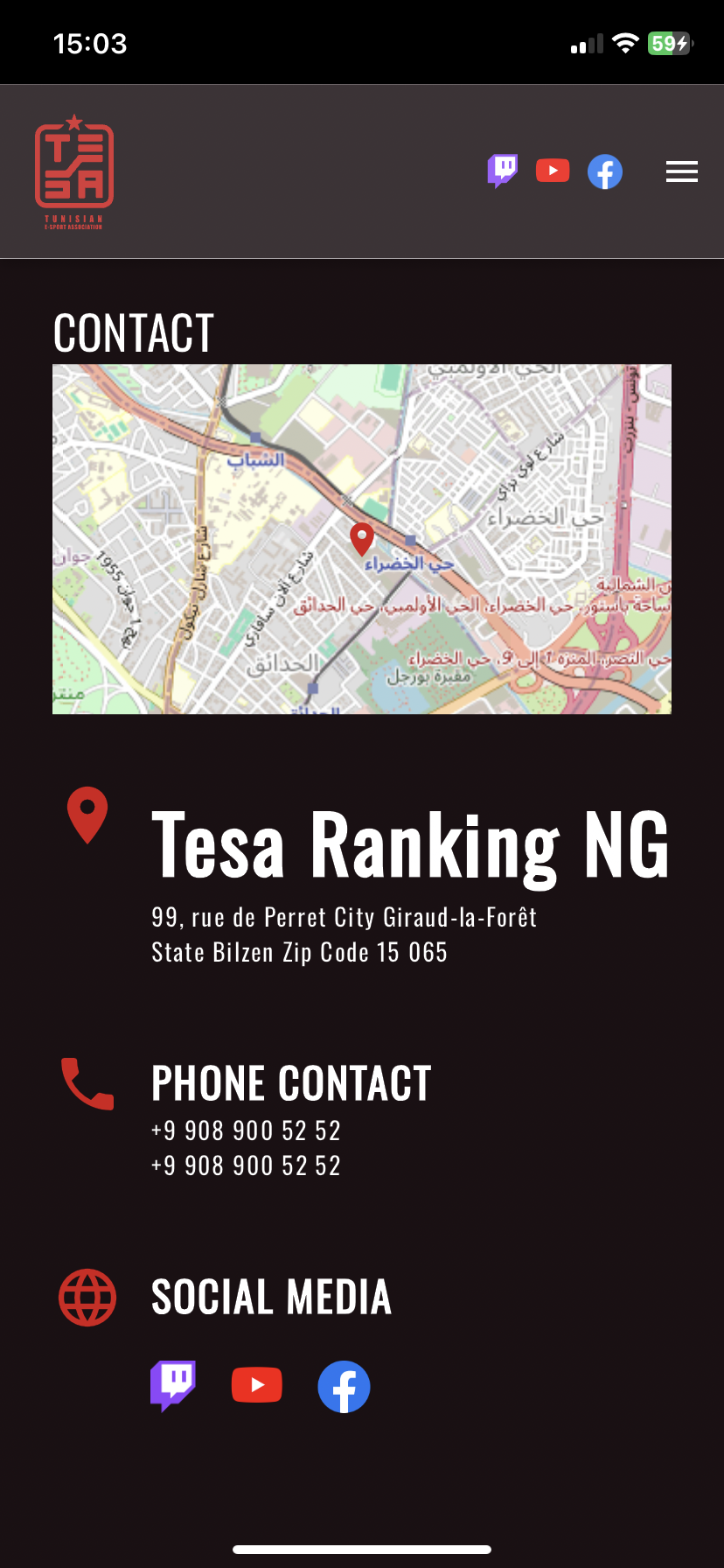 Tesa - Contact