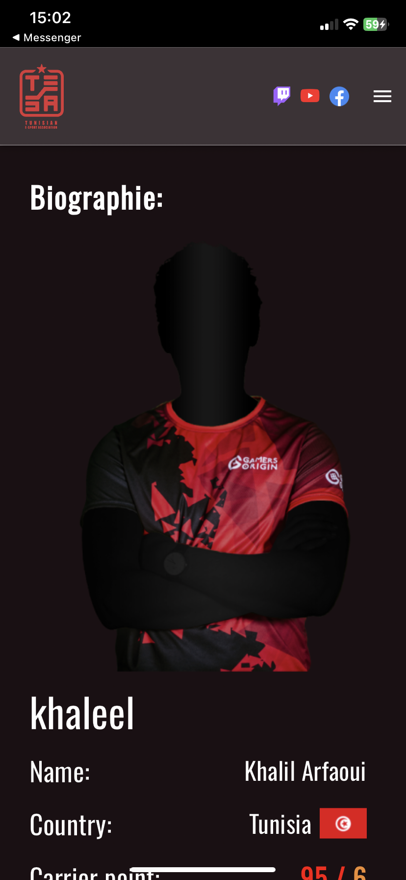 Tesa - Profil